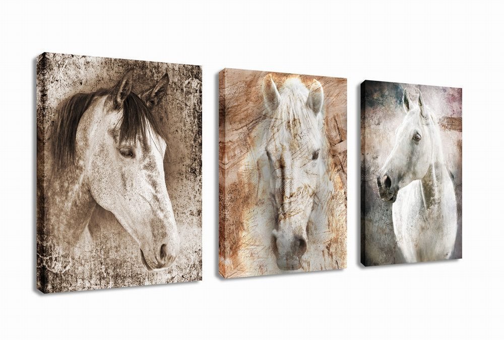 Horse Canvas Wall Art